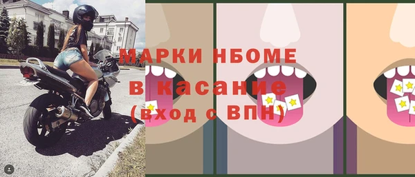 индика Вязники