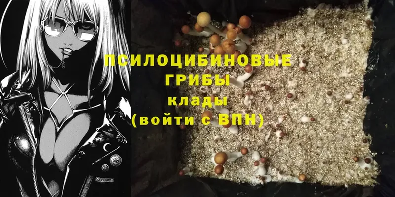 Галлюциногенные грибы MAGIC MUSHROOMS  Бежецк 